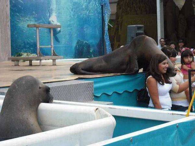 Jealousy Is Too Obvious Here