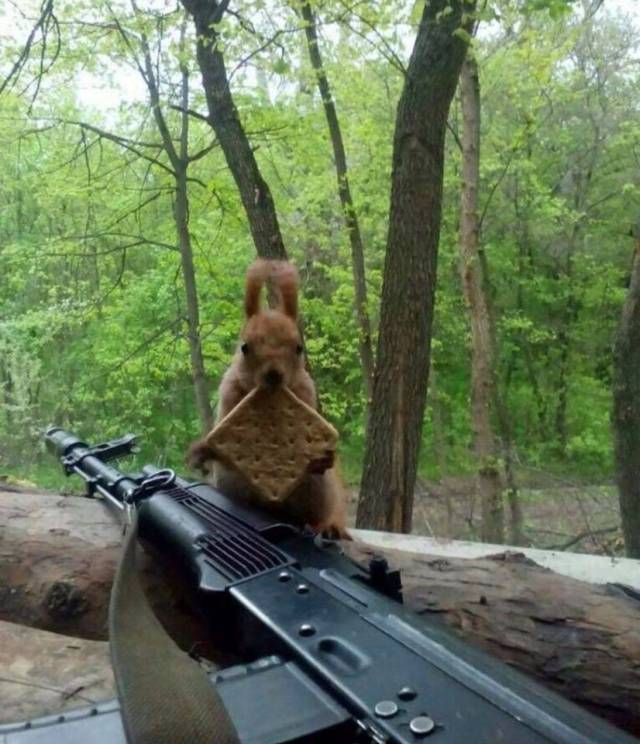 Daily Picdump