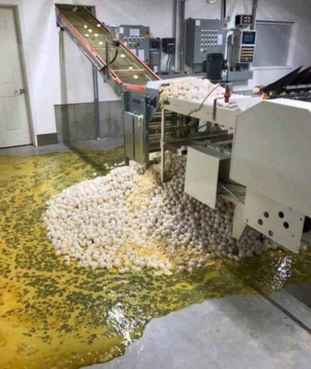 Content Image