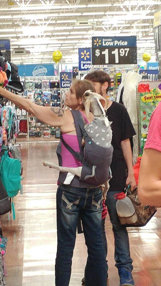 Content Image
