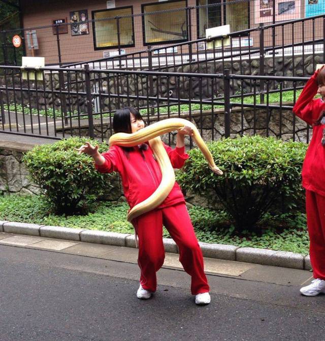 Content Image