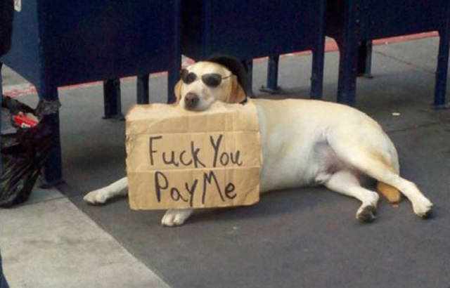 Content Image