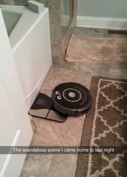 Morning Picdump
