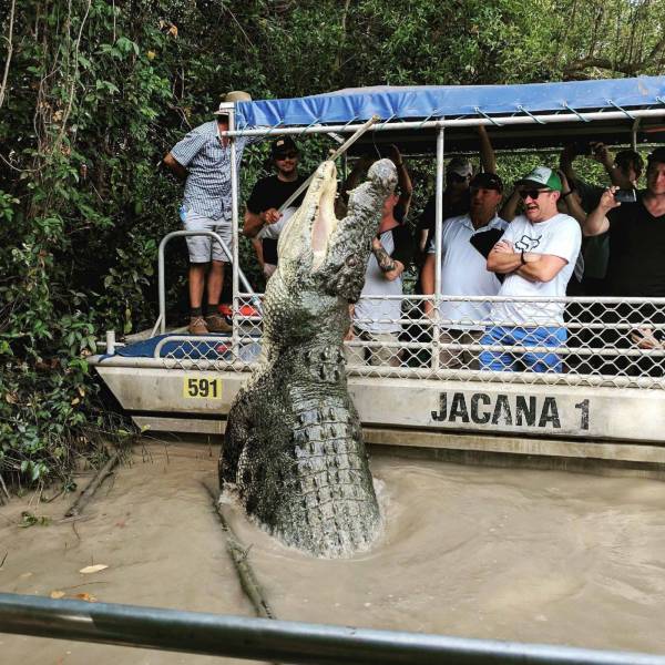 Daily Picdump