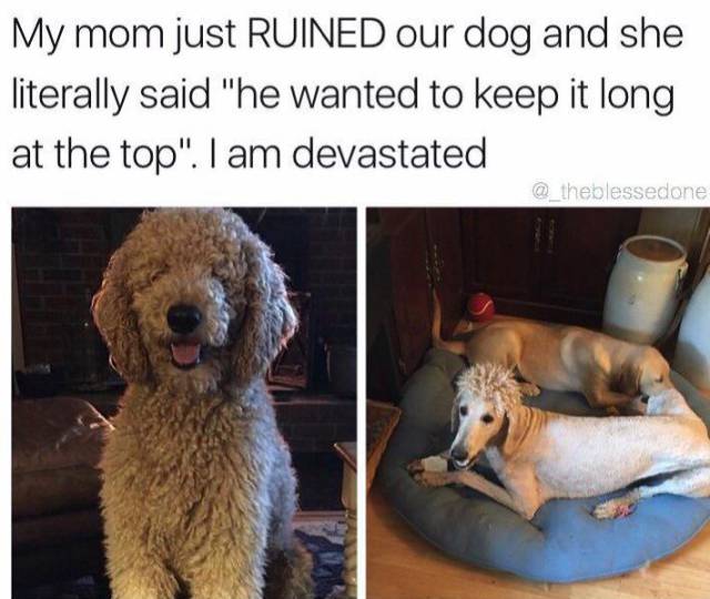 Daily Picdump