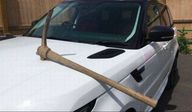 Daily Picdump