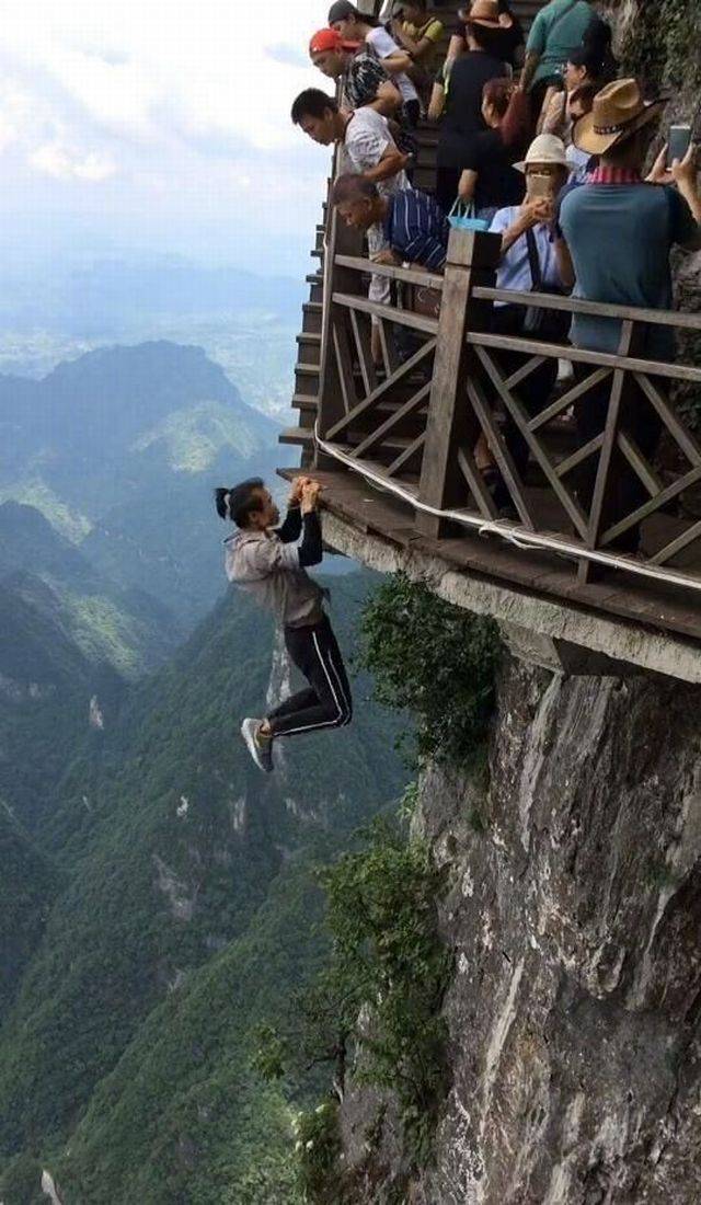 Daily Picdump