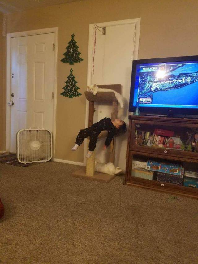 Content Image