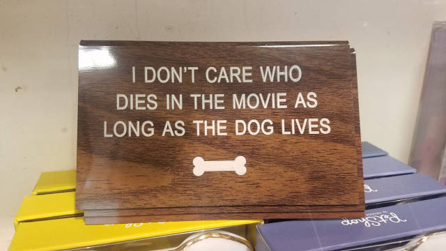 Morning Picdump
