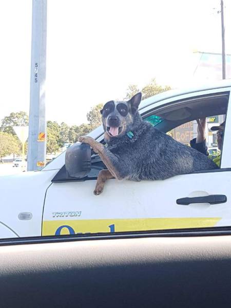 Morning Picdump