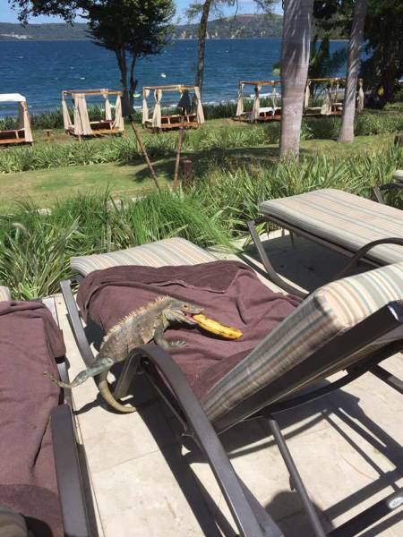 Morning Picdump