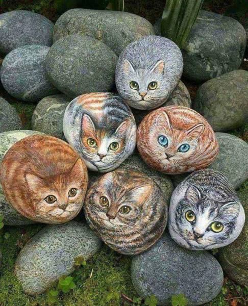 Morning Picdump