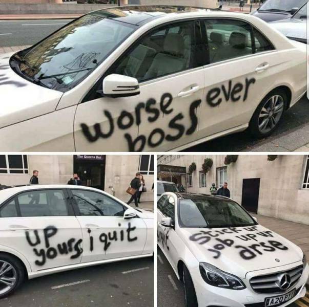 Morning Picdump