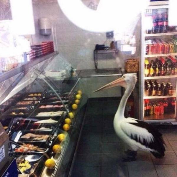 Content Image