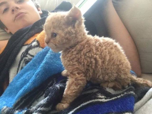 Morning Picdump