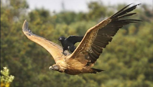 Being Lazy Is So Easy