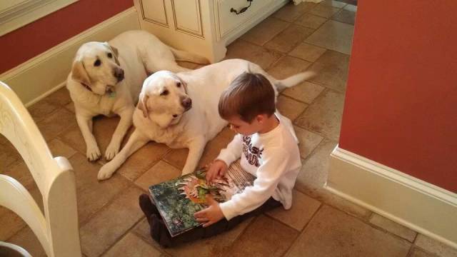 Daily Picdump