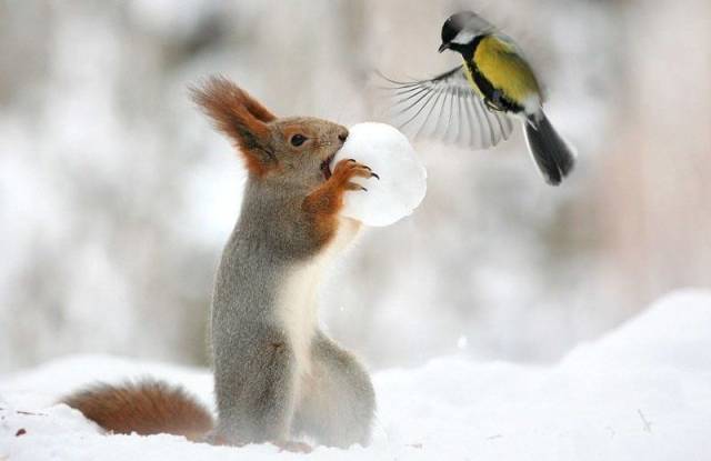 Daily Picdump