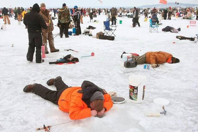 Daily Picdump