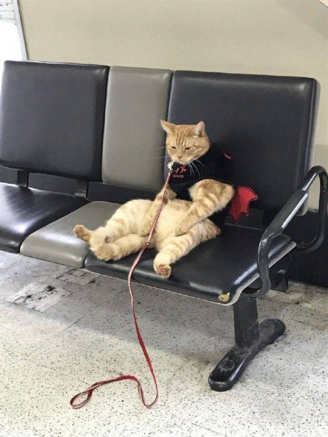 Daily Picdump