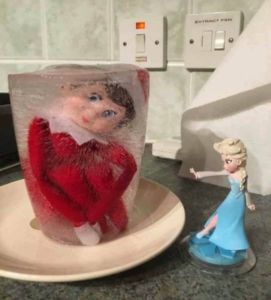 Morning Picdump