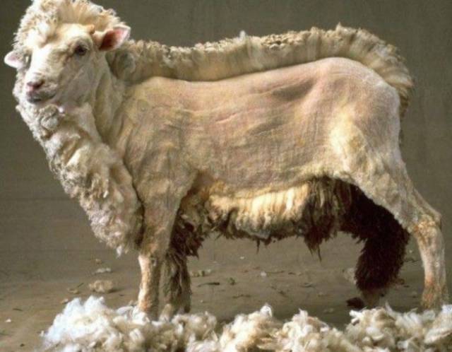 Morning Picdump