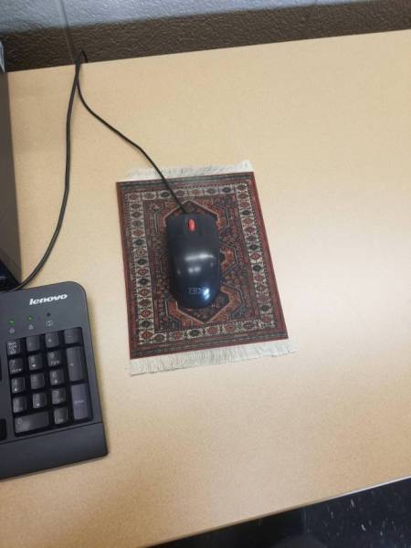 Morning Picdump