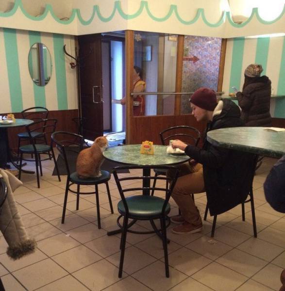 Morning Picdump