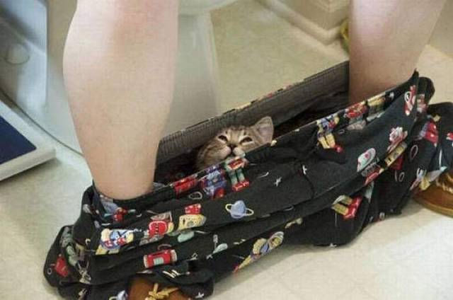Content Image