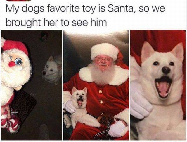 Content Image