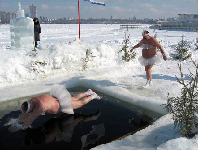 Daily Picdump