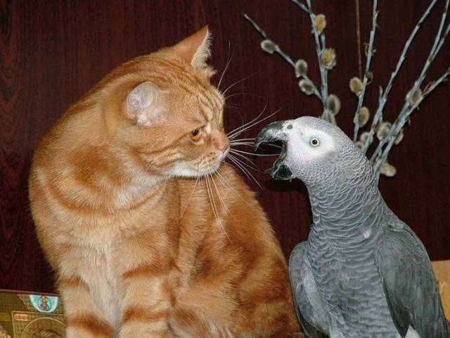 Daily Picdump