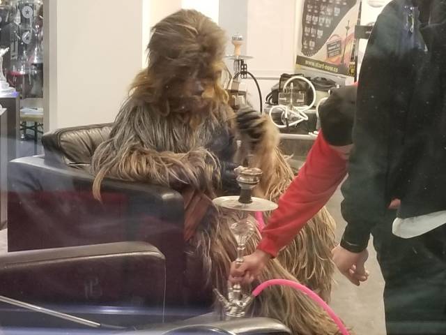 Daily Picdump