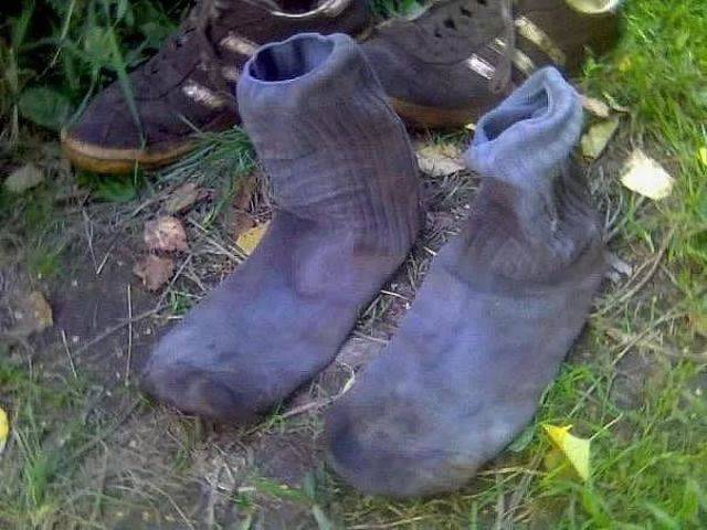 Content Image