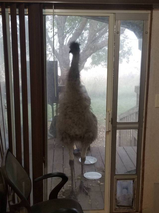 Daily Picdump