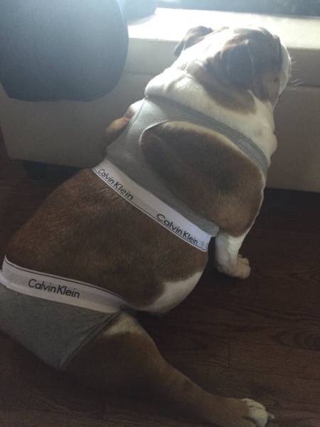 Morning Picdump