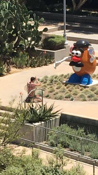 Content Image