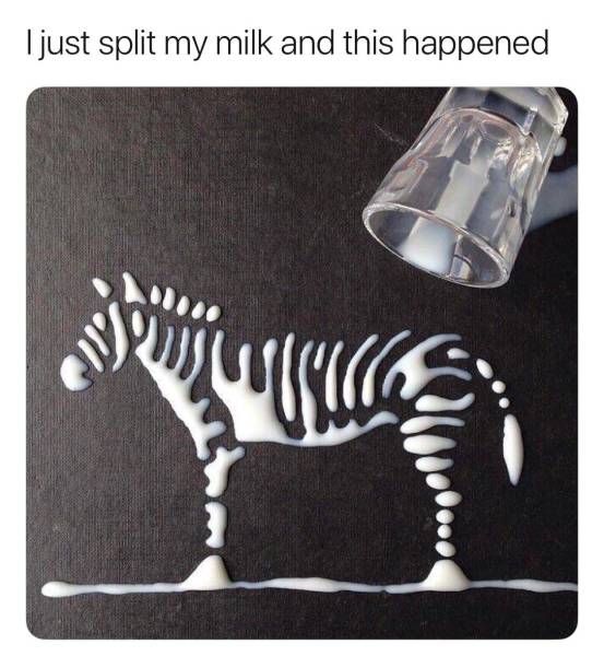 Content Image