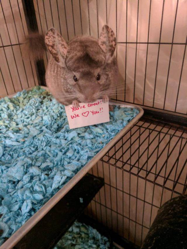 Morning Picdump