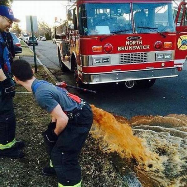 Content Image