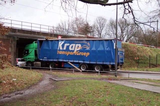 Content Image