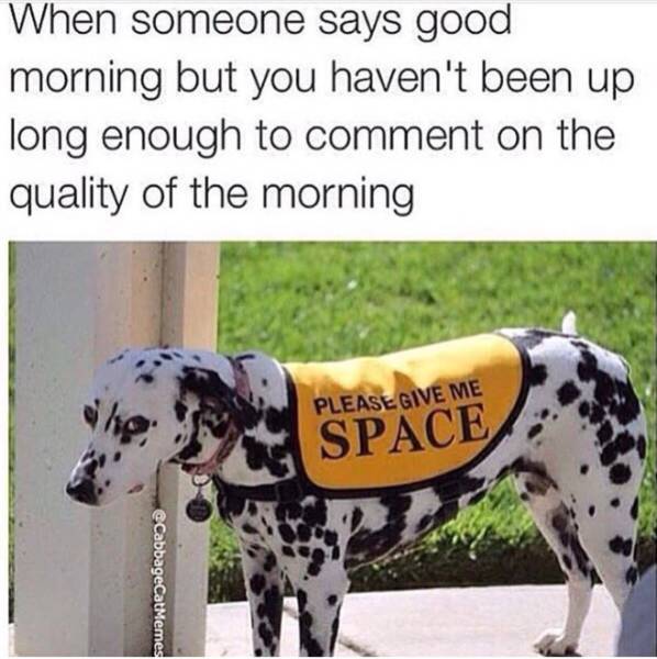 Funny Picdump