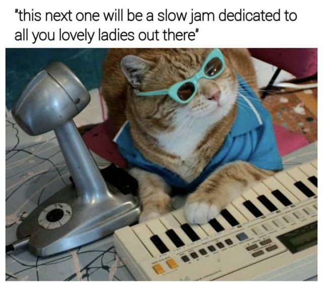 Funny Picdump