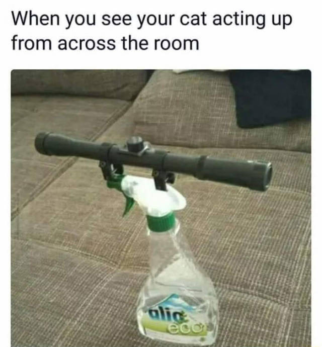 Funny Picdump