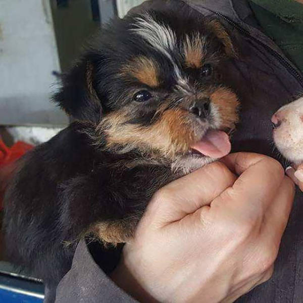 Morning Picdump