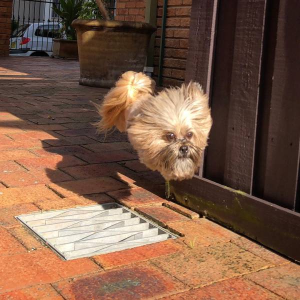 Morning Picdump