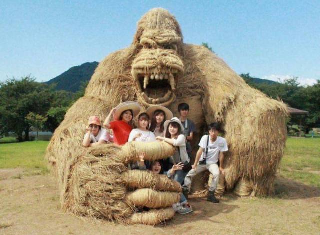 Morning Picdump