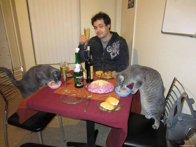 Content Image