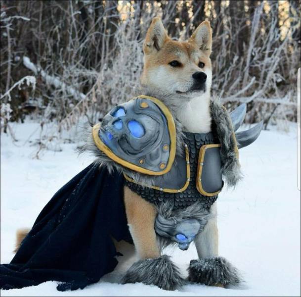 Content Image
