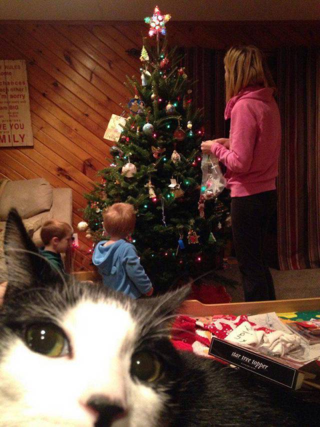Morning Picdump